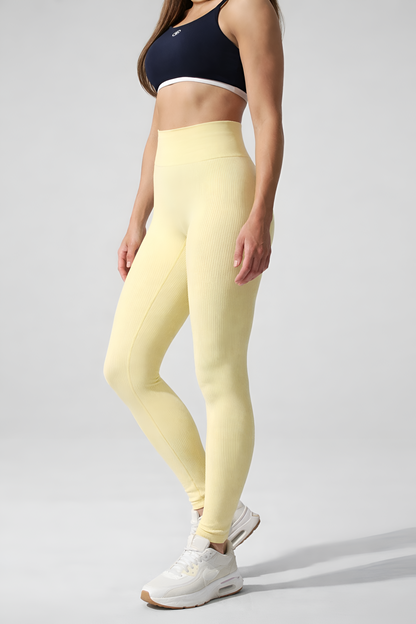 Zenith Legging