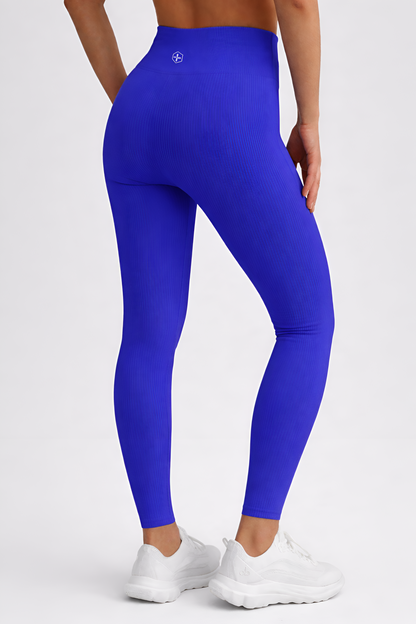 Zenith Legging